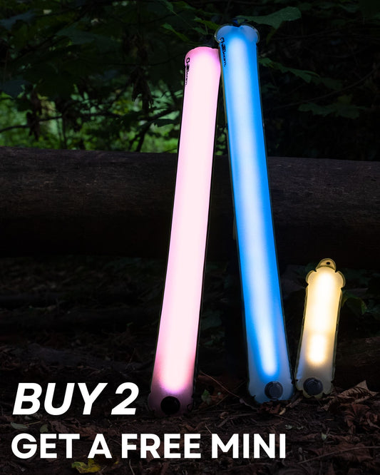 Buy 2 Get A FREE Mini